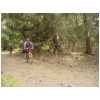 03stage031.html