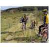 03stage042.html