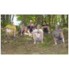 08_asmv_les_jeunes.html