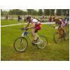 48_394_menestreau_bronner.html