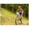 66_376_menestreau_pierre.html