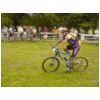 73_414_menestreau_chevallier.html