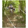 04_23_uso_vacas.html
