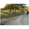 DSC00034.html