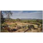 01_palayson.html