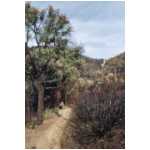 024_col_bougnon.html