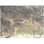 19_ruines.html
