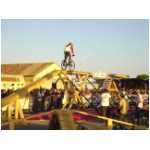 free_005.html